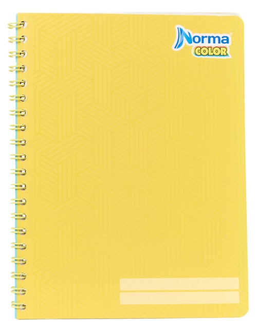 Cuaderno a rayas