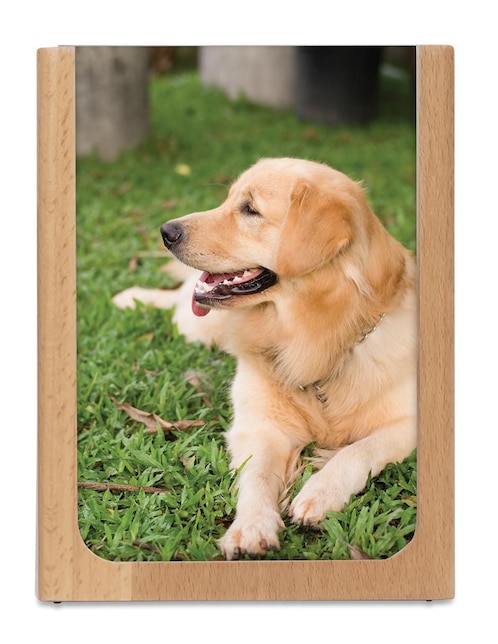 Porta lapiceros Kikkerland de madera