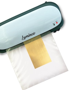 Enmicadora Lideart