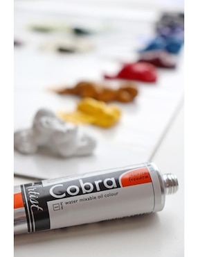 Pinturas óleo Royal Talens Cobra 10 piezas