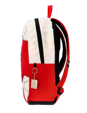 Mochila casual Pegaso Common Nation Caballeros Del Zodiaco unisex