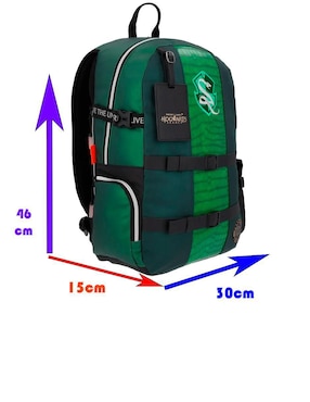 Mochila casual Slytherin Common Nation Hogwarts Legacy unisex