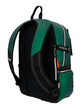 Mochila casual Slytherin Common Nation Hogwarts Legacy unisex