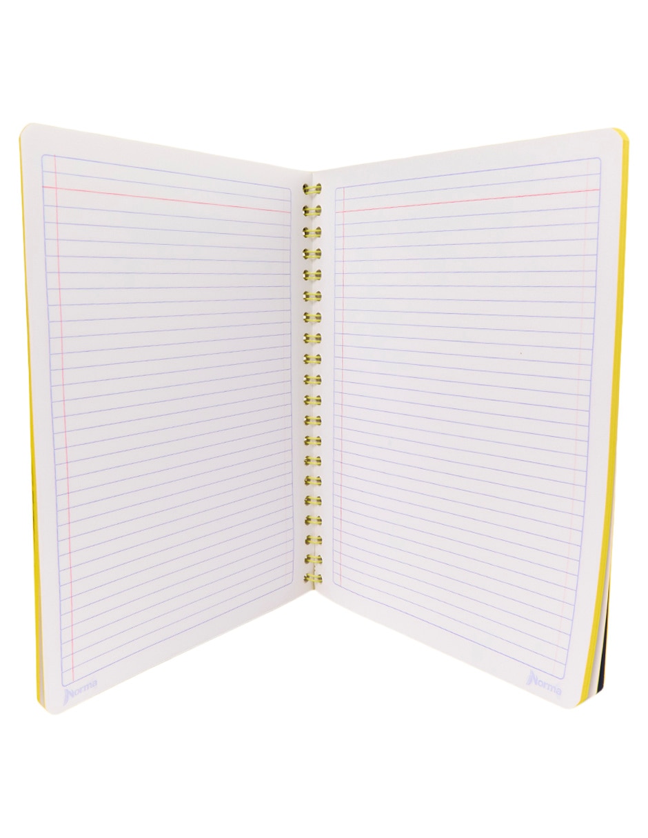 Cuaderno a rayas 3