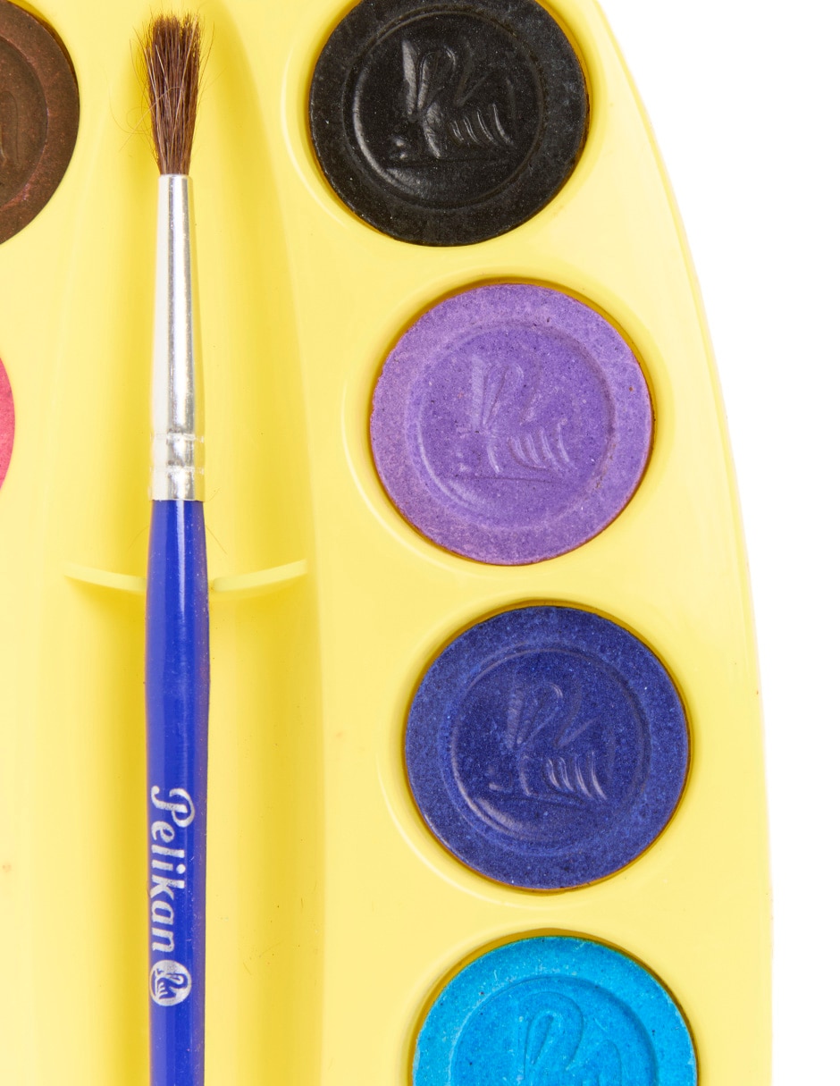 Acuarelas pastilla 12 colores 3