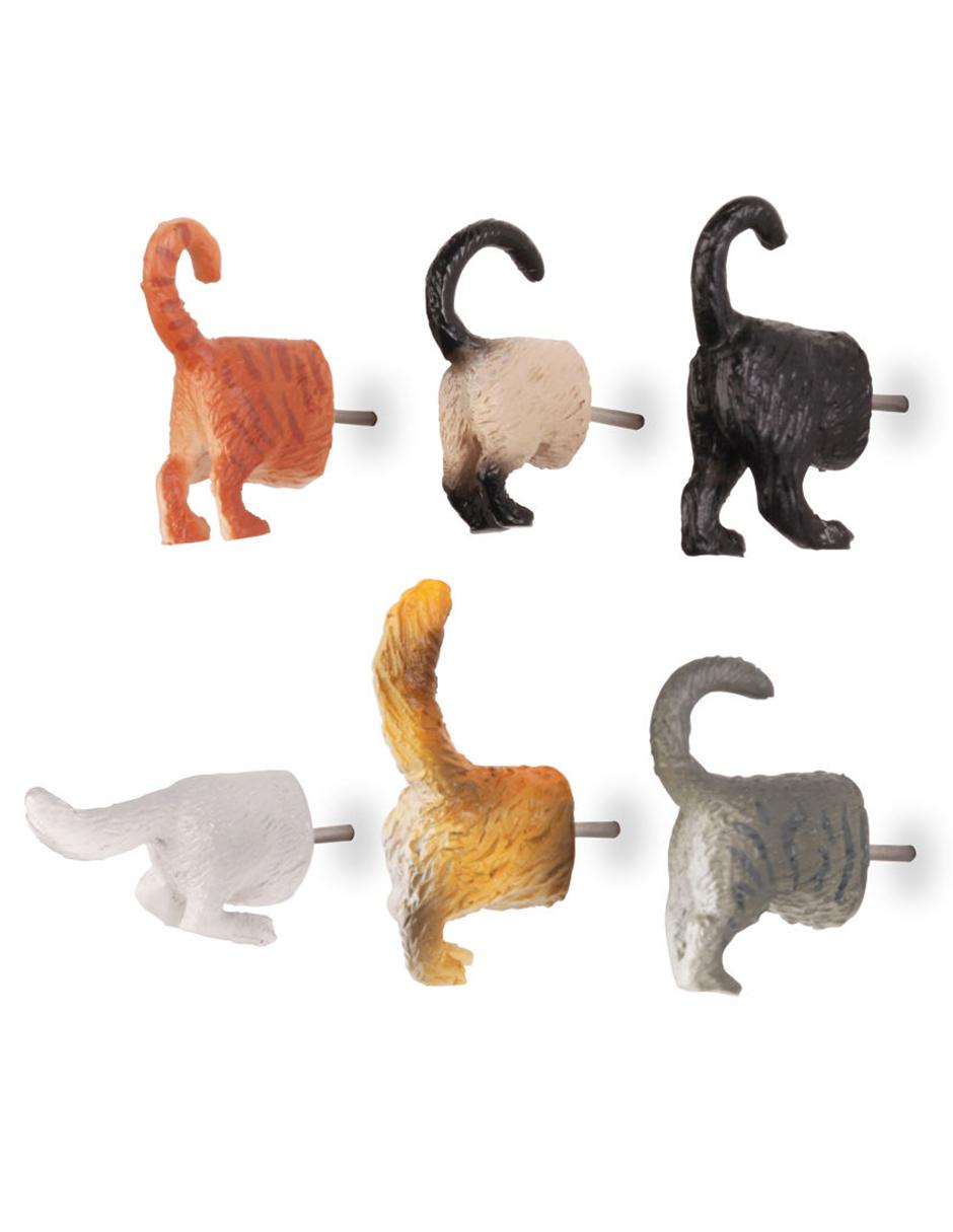 Juego de 6 tachuelas con diseño de colitas de gato 4