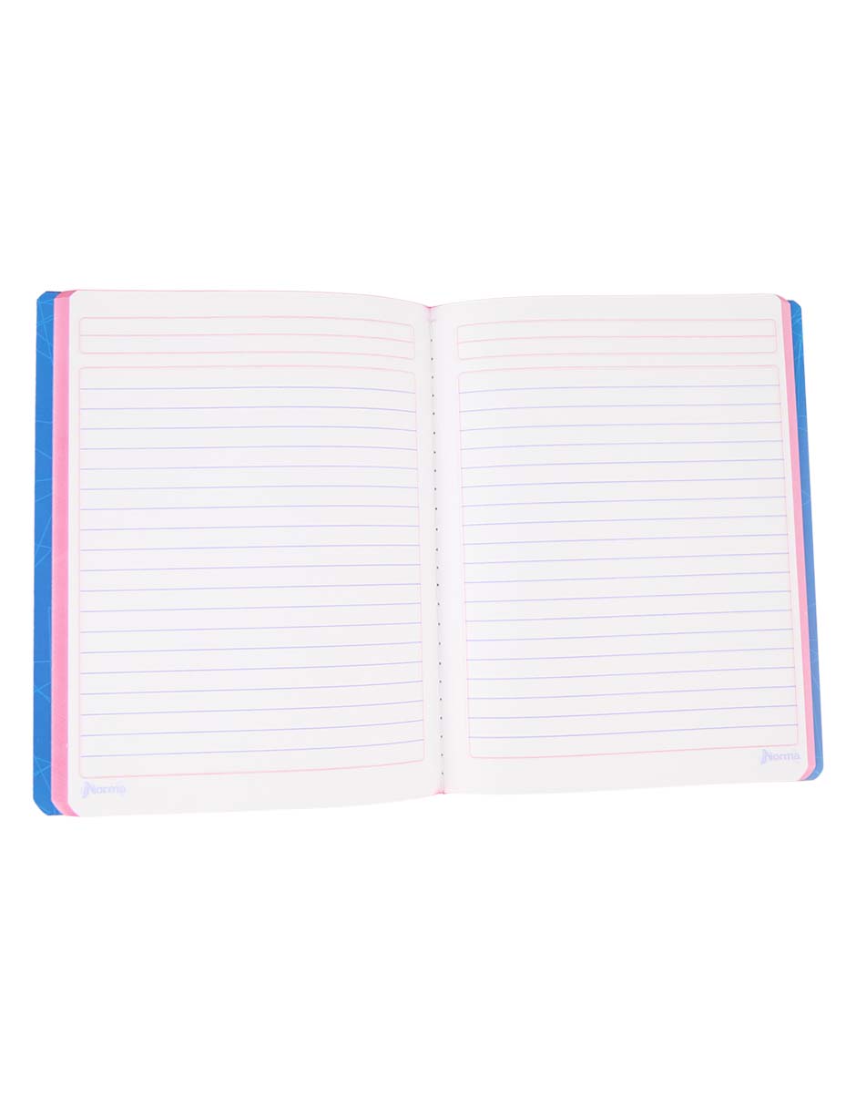 Cuaderno a rayas 3